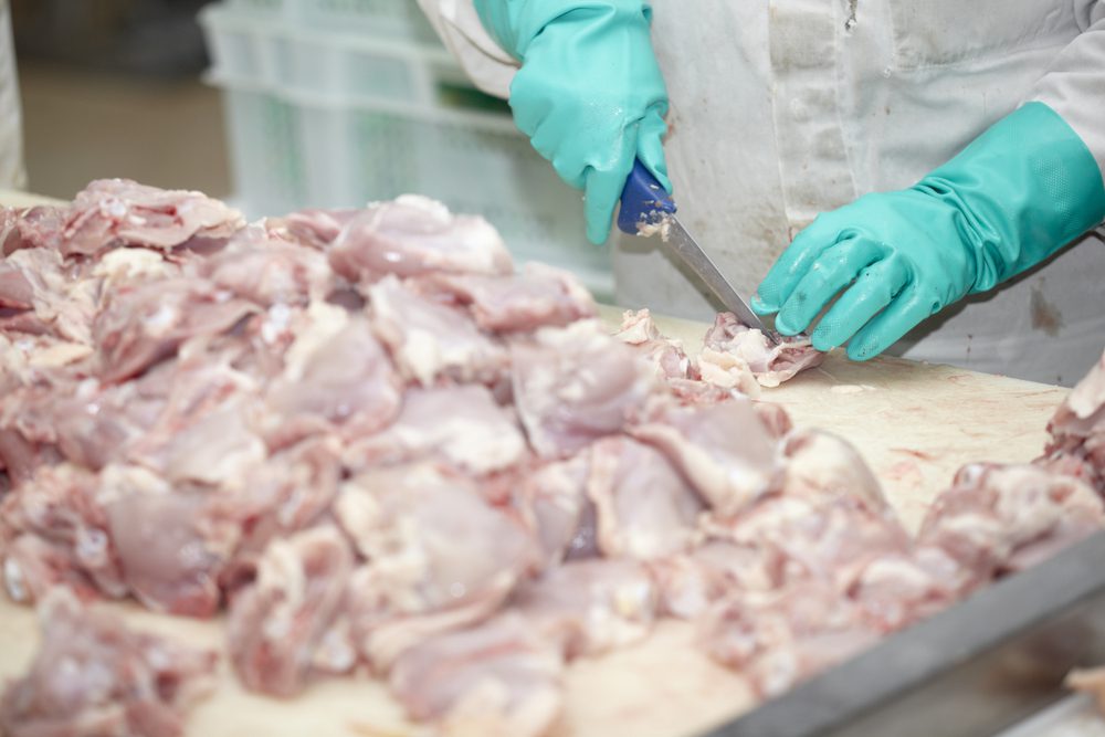 Factory worker cutting up raw chicken